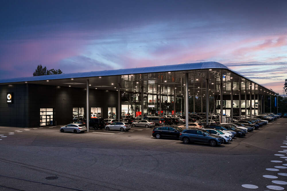 Jan Kriwanek (Jan Kriwanek)