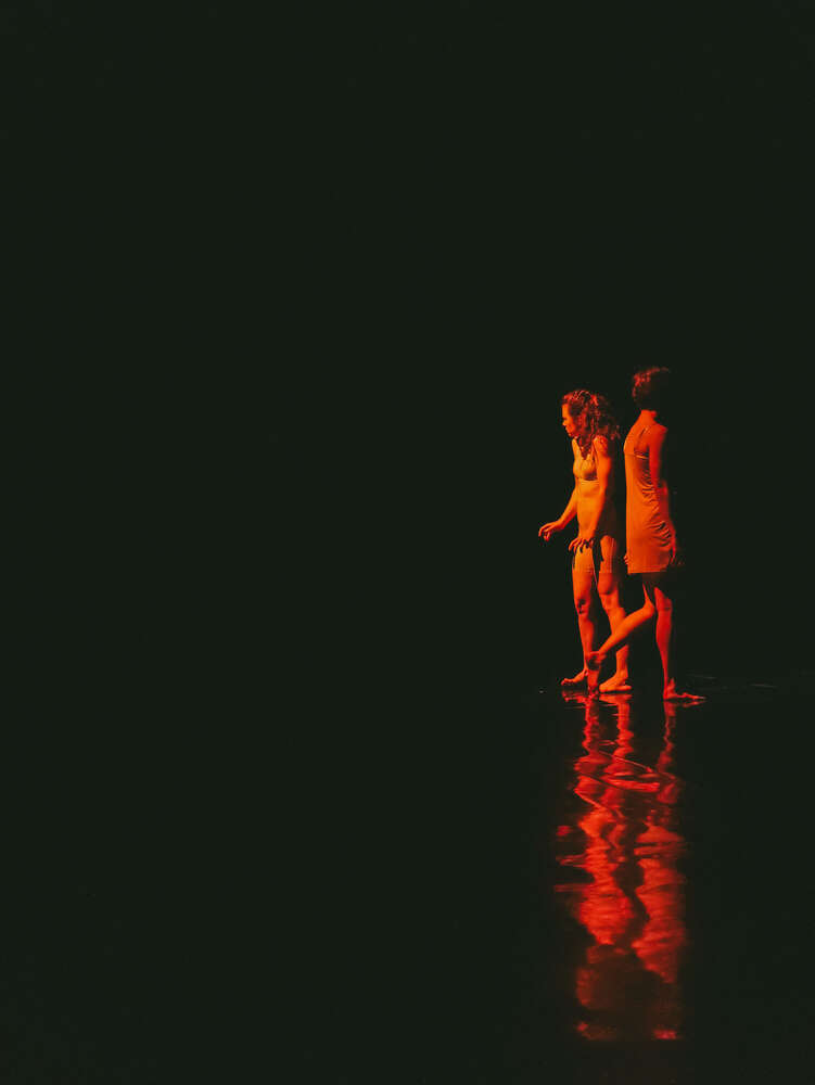 dance performance (tamaste)