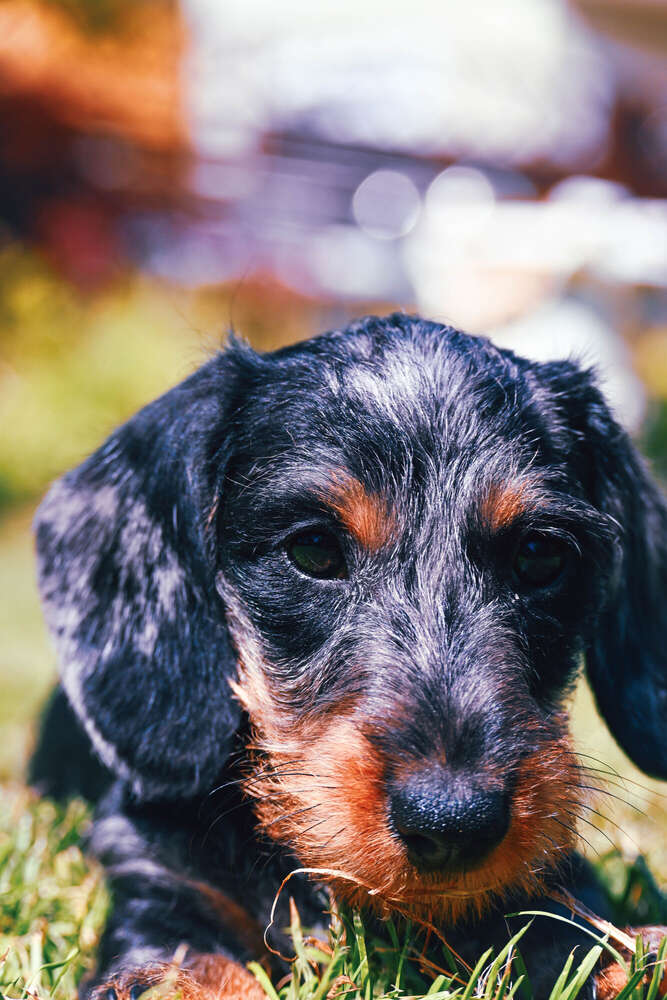 Marc & Antje Fotografie (Marc & Antje Fotografie)