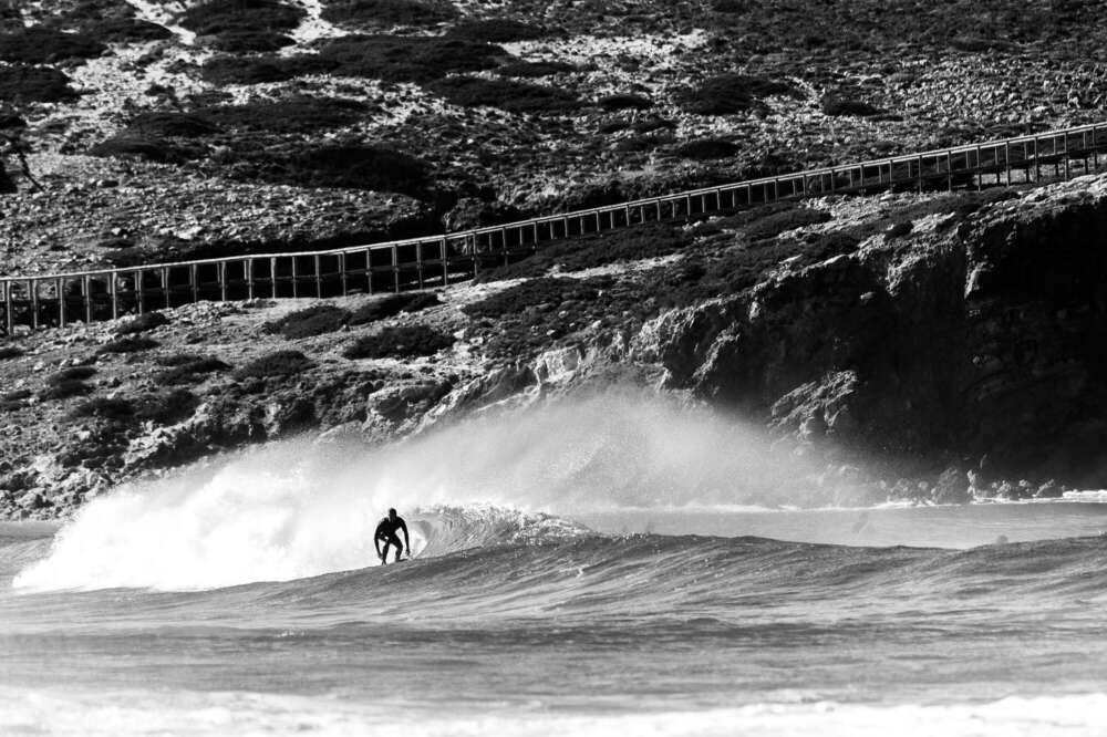 Daniel Pankoke Media