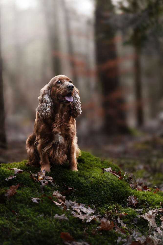 Wencke Reinhardt (Wencke Reinhardt)