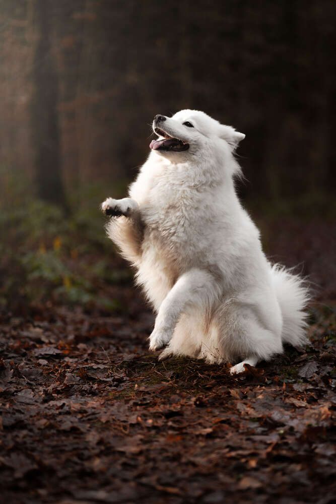 Wencke Reinhardt (Wencke Reinhardt)