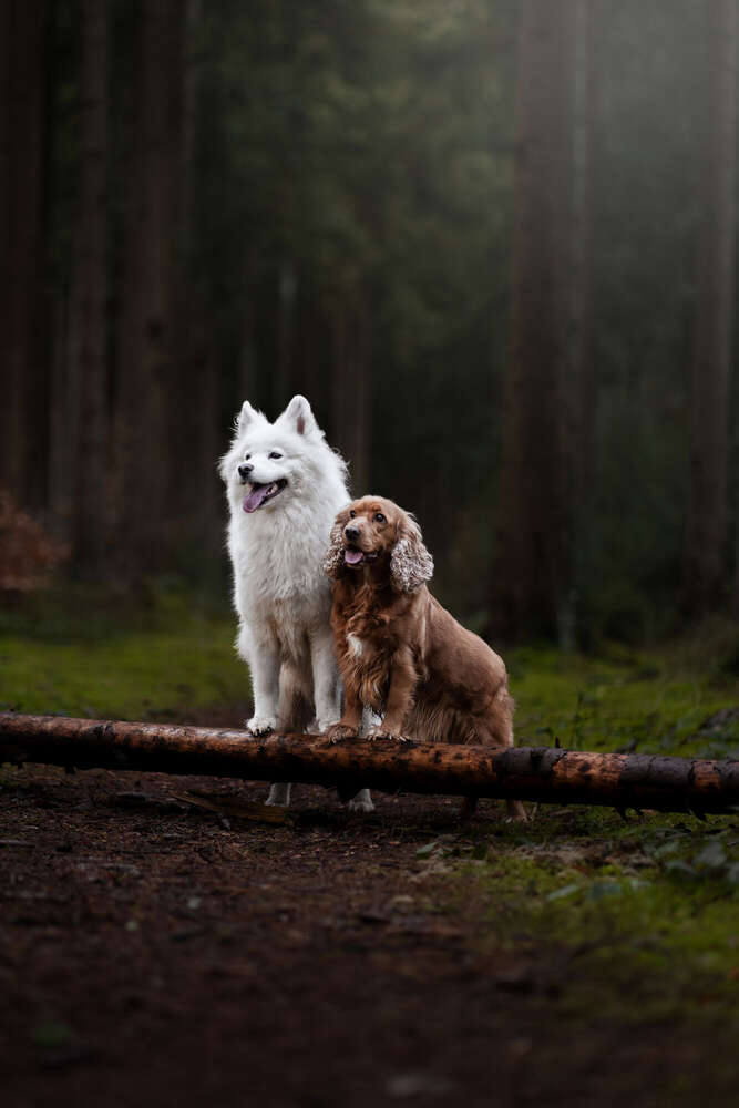 Wencke Reinhardt (Wencke Reinhardt)