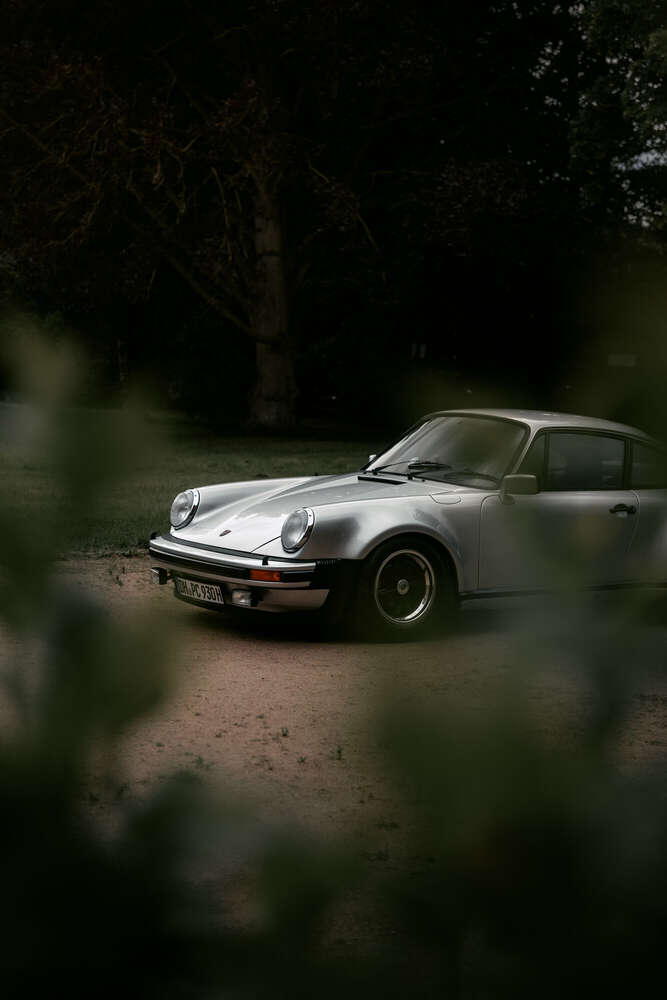 Porsche 930 Turbo Carrea (Wencke Reinhardt)