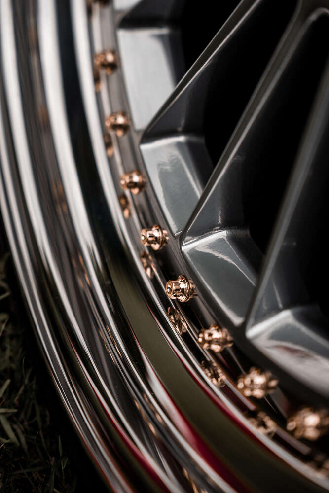 Wencke Reinhardt (Wencke Reinhardt)