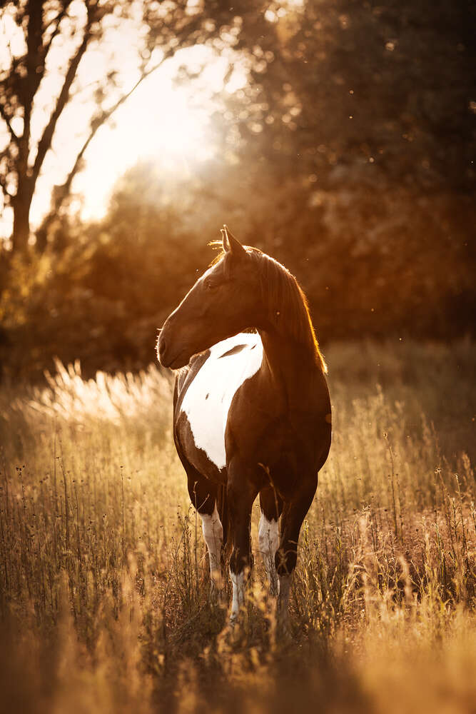 Yvi Tschischka Photography (Yvi Tschischka Photography)