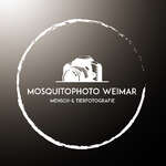 Mosquitophoto Weimar