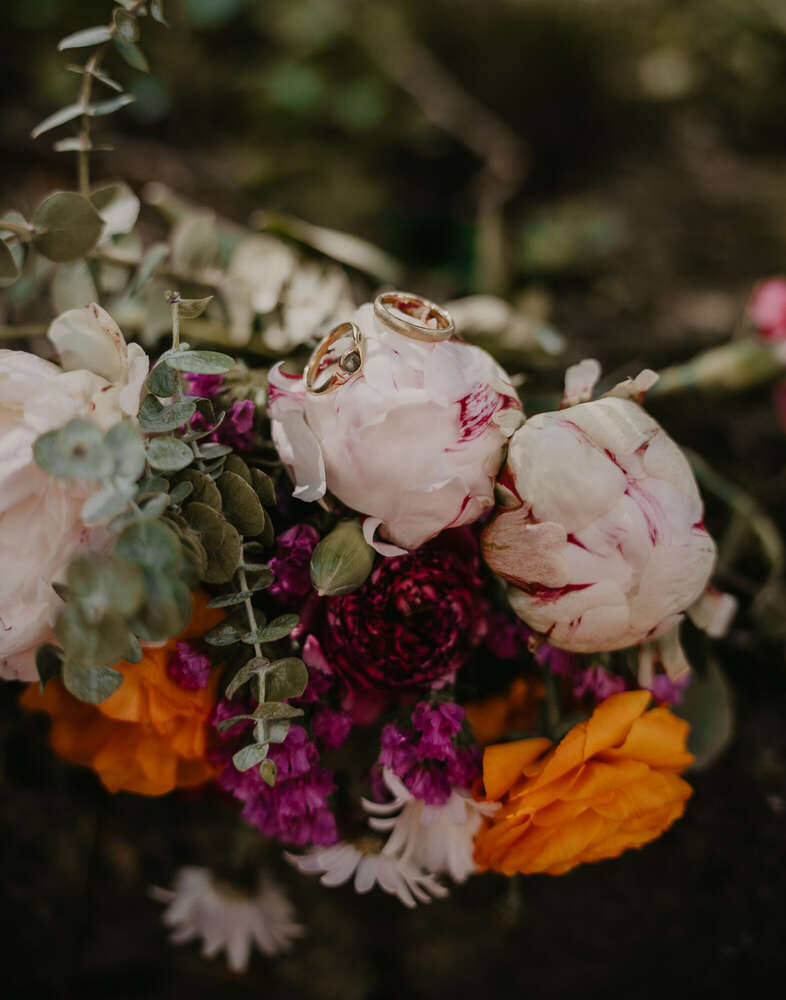 Anna Leibfarth (Anna Leibfarth)