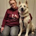 Kamerakunst für Mensch und Tier