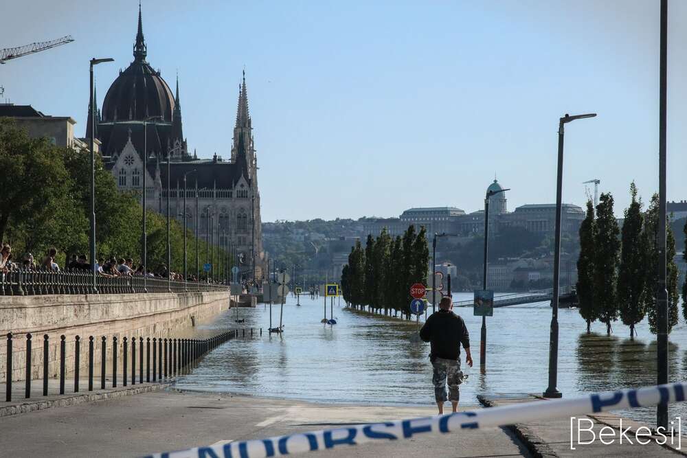 Event Photos and Portraits [Bekesi] (Event Photos and Portraits [Bekesi])