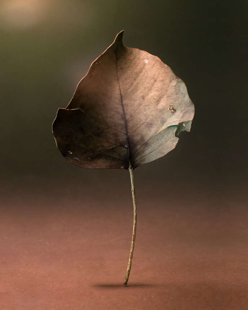 PORTRAITS mit RALF HIEMISCH im JETZT & HIER Studio (PORTRAITS mit RALF HIEMISCH im JETZT & HIER Studio)