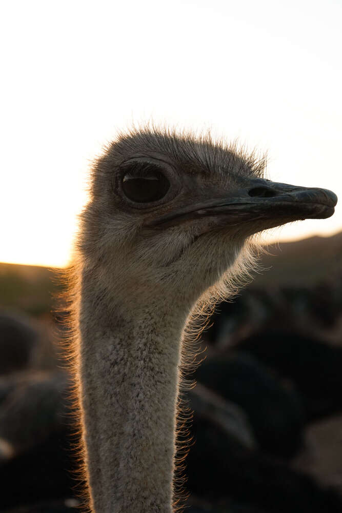 Cindy Haak Photography (Cindy Haak Photography)