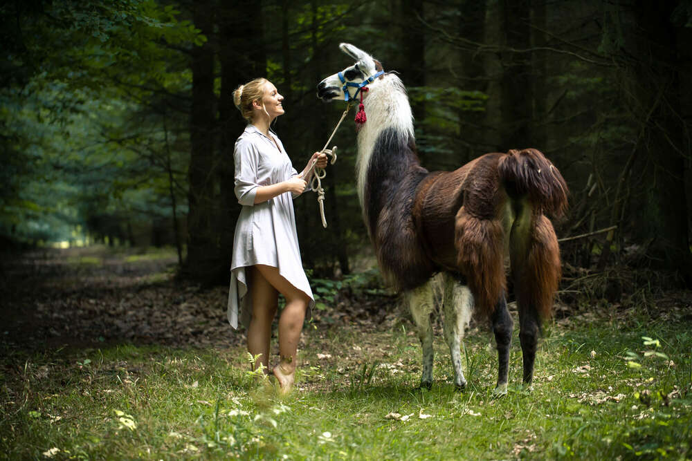 Portrait im Wald mit Lama (FOKUSNAH)