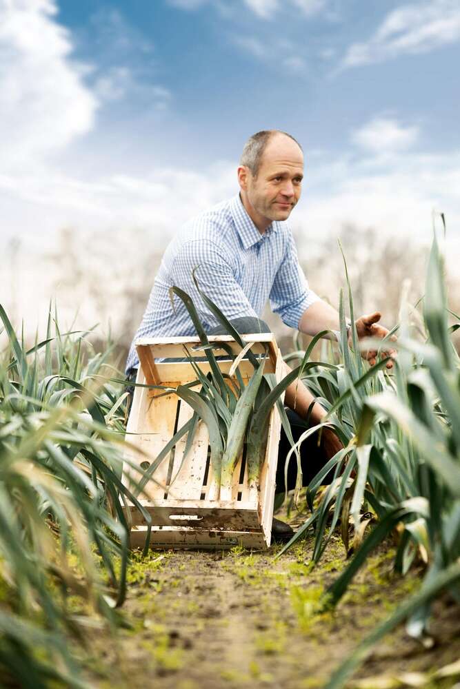 Landwirt bei der Lauchernte im Freiland (25pictures)