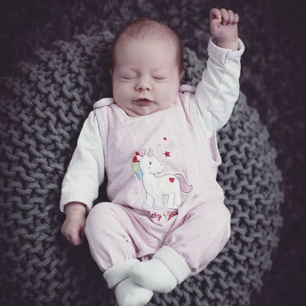 Neues Leben – ganz groß im Bild (25pictures)