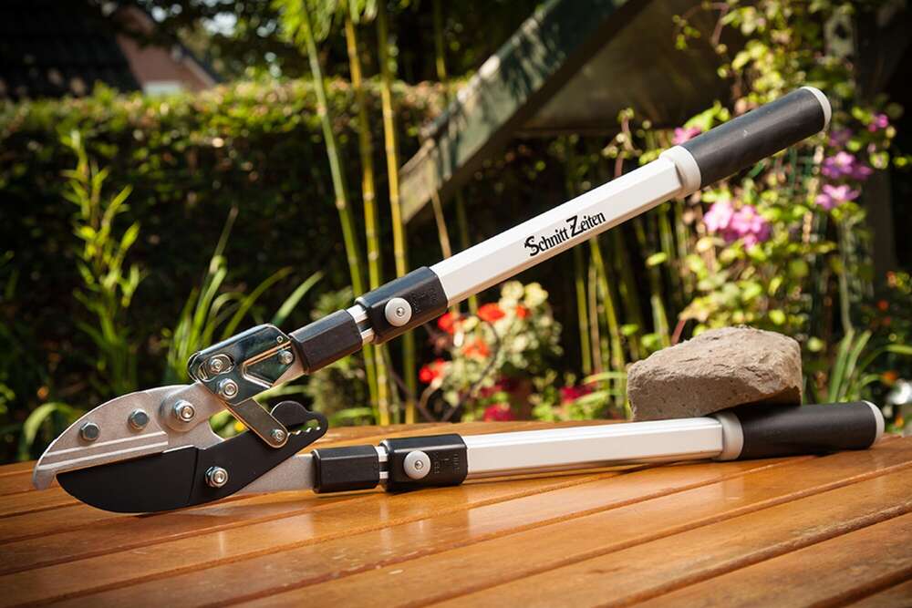 25pictures (25pictures)