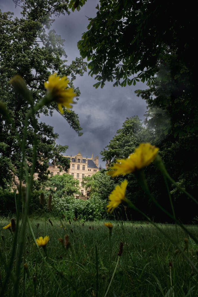 Lea Luminus Fotodesign (Lea Luminus Fotodesign)