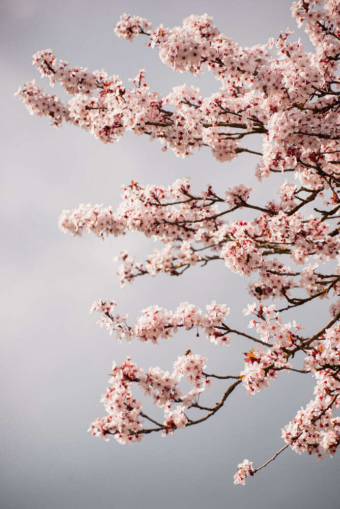 Arunthathy Krishnarajah (Arunthathy Krishnarajah)