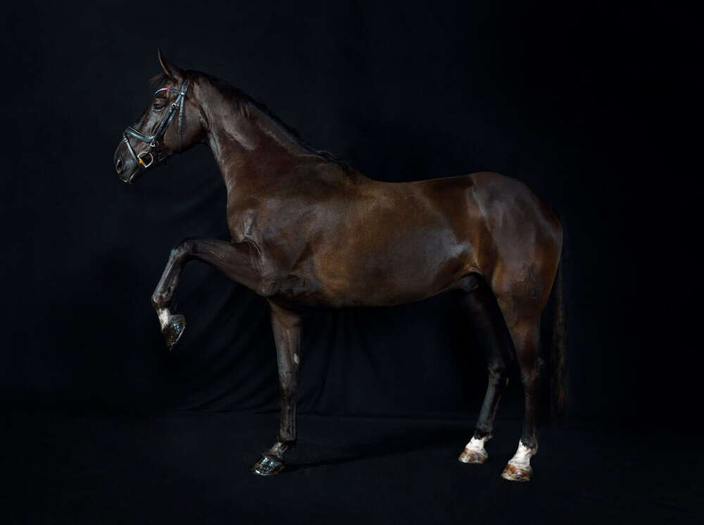 Guenther Schwering (Guenther Schwering)