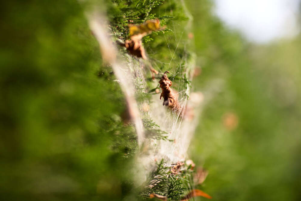 Fabien BENARIAC (Fabien BENARIAC)