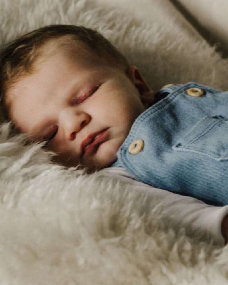 Dana Ludwigs (Dana Ludwigs)