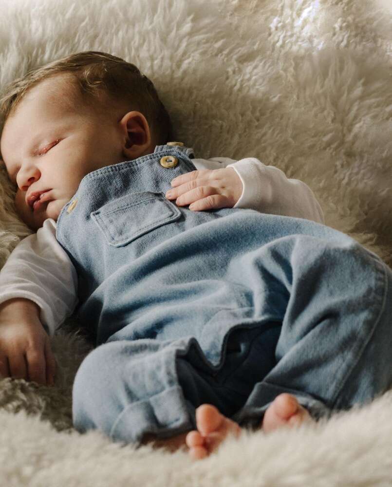 Dana Ludwigs (Dana Ludwigs)