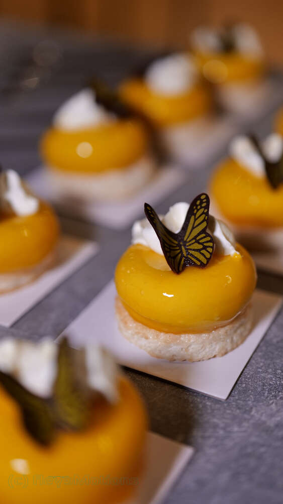 fleyeMotions (fleyeMotions)