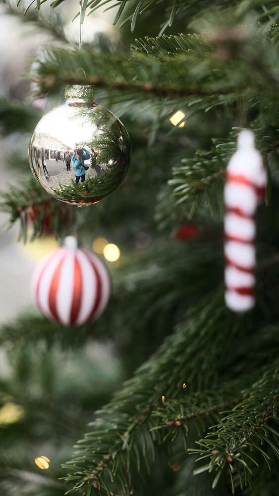 fleyeMotions (fleyeMotions)