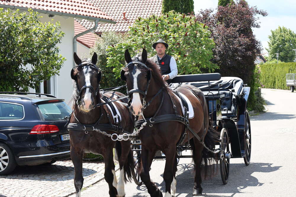 Sancak Video&Foto (Sancak Video&Foto)