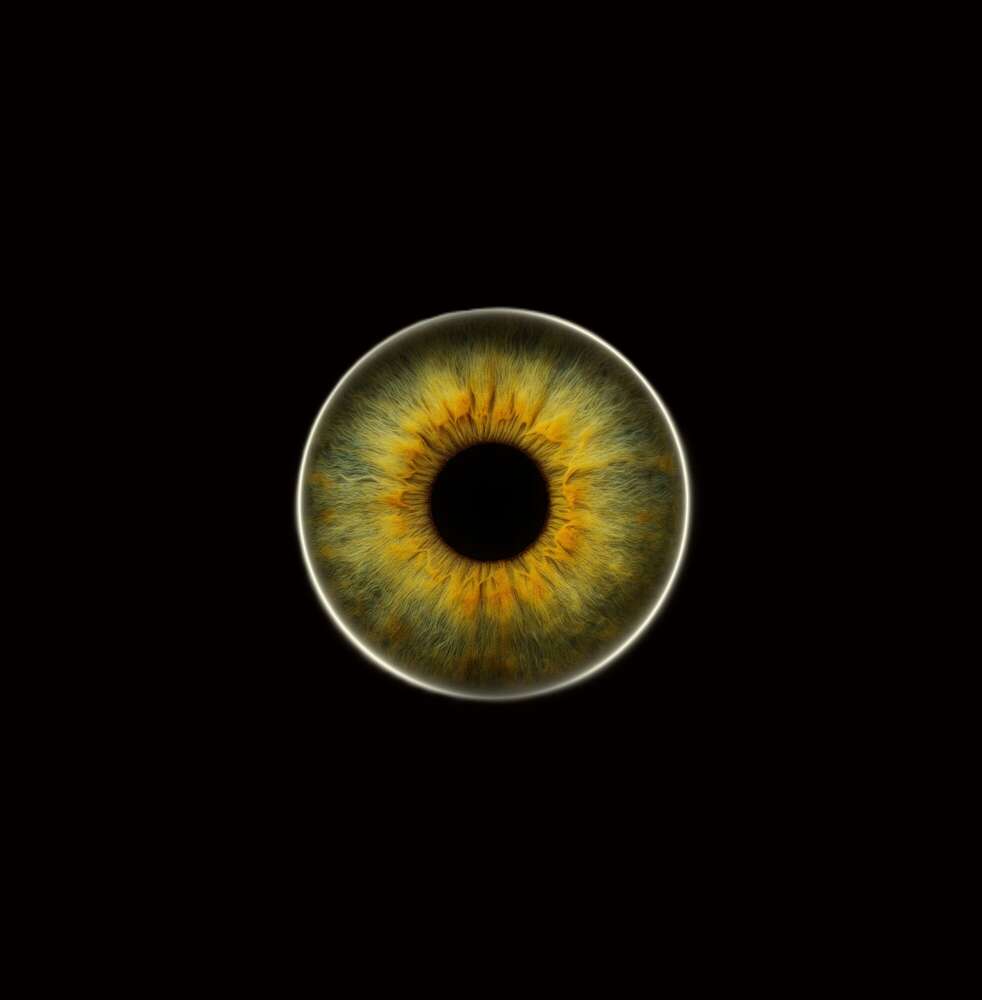 Sancak Video&Foto (Sancak Video&Foto)