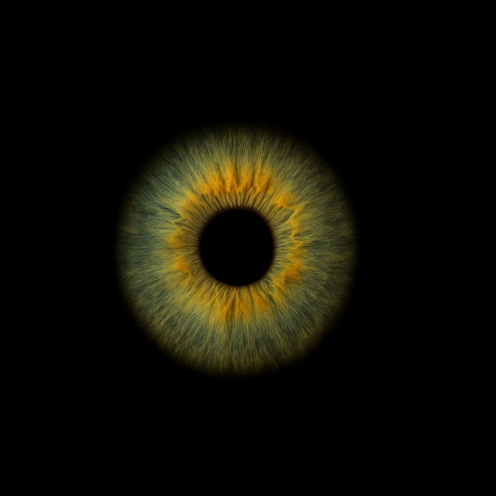 Sancak Video&Foto (Sancak Video&Foto)