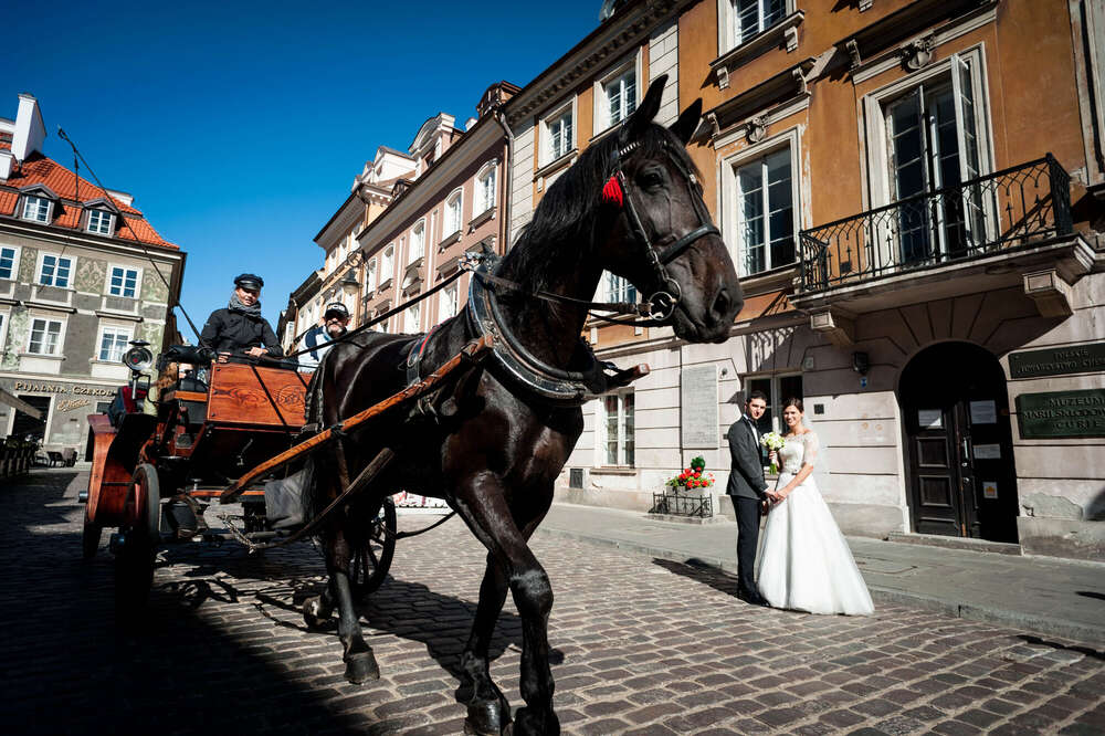 Daniele  Francavillese  (Daniele  Francavillese )
