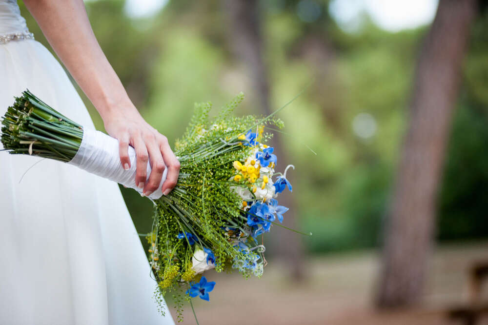 Daniele  Francavillese  (Daniele  Francavillese )