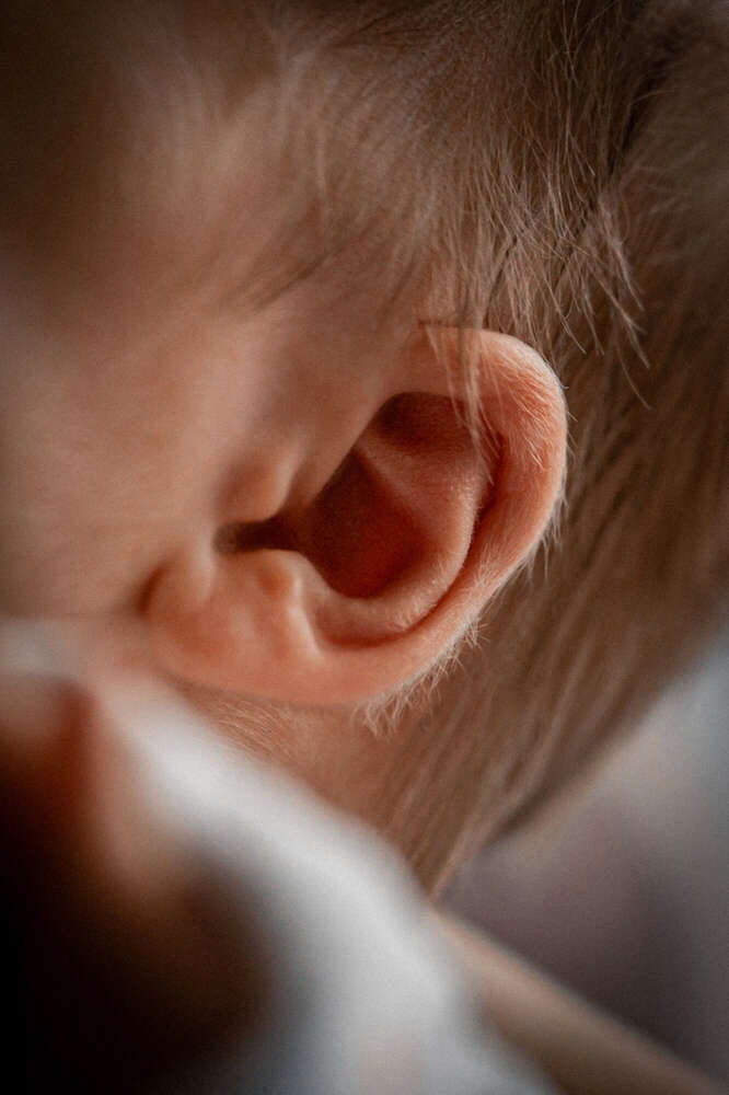 Patty Jay Fotografie (Patty Jay Fotografie)