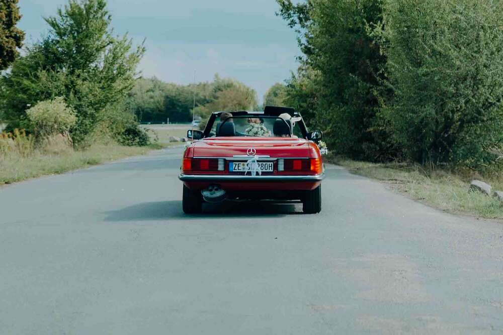 Dominic Lutz-Peipelmann