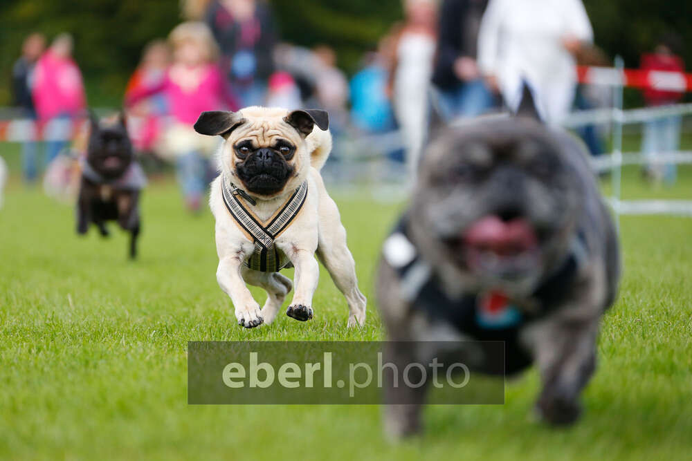 EBERL | Photographie (EBERL | Photographie)