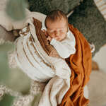 Babyshot Schenk fotografie