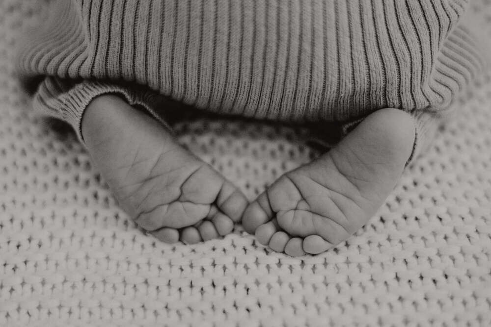 Lisa Herold Fotografie