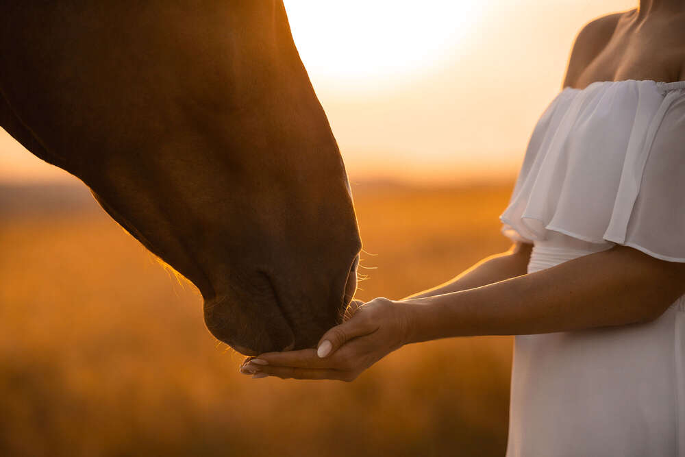 Kerstin Lepschi Photography (Kerstin Lepschi Photography)