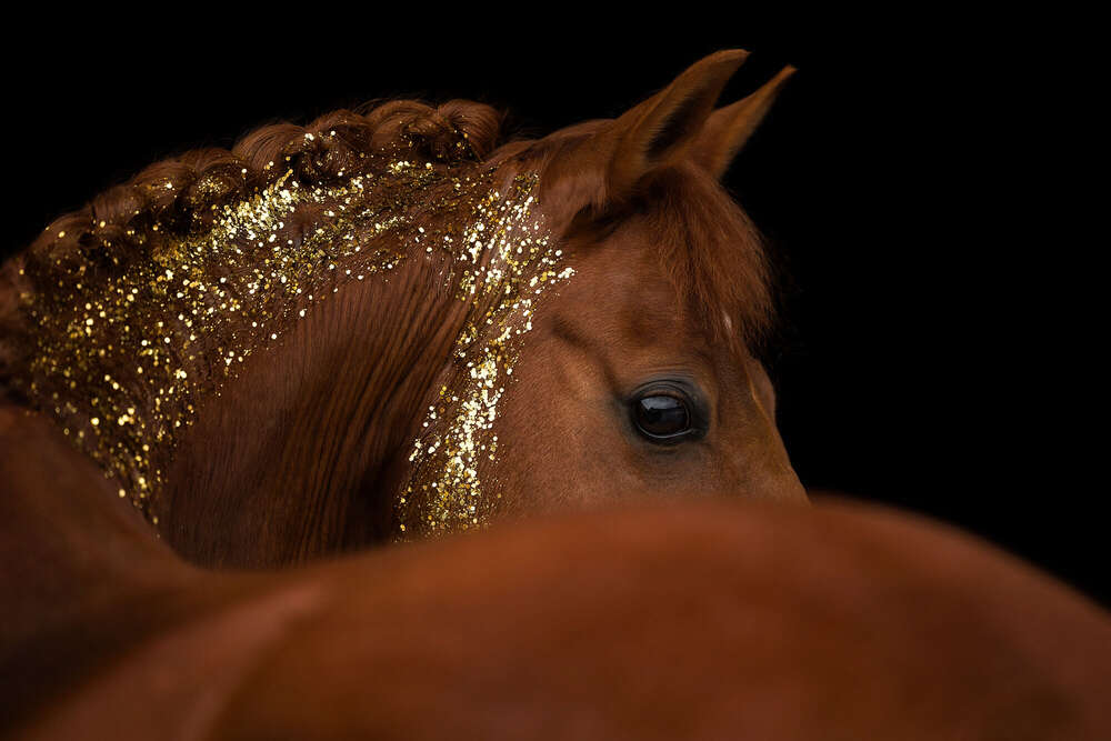 Kerstin Lepschi Photography (Kerstin Lepschi Photography)