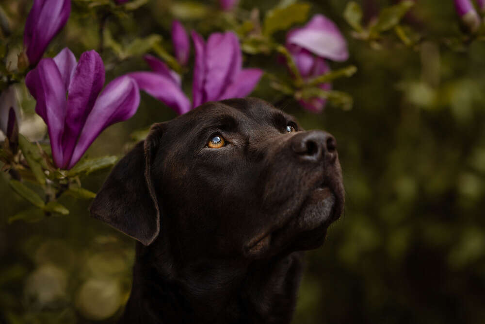 Kerstin Lepschi Photography (Kerstin Lepschi Photography)