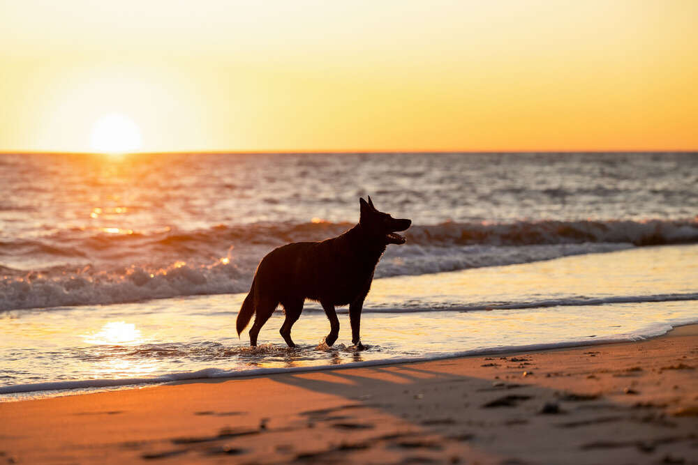 Kerstin Lepschi Photography