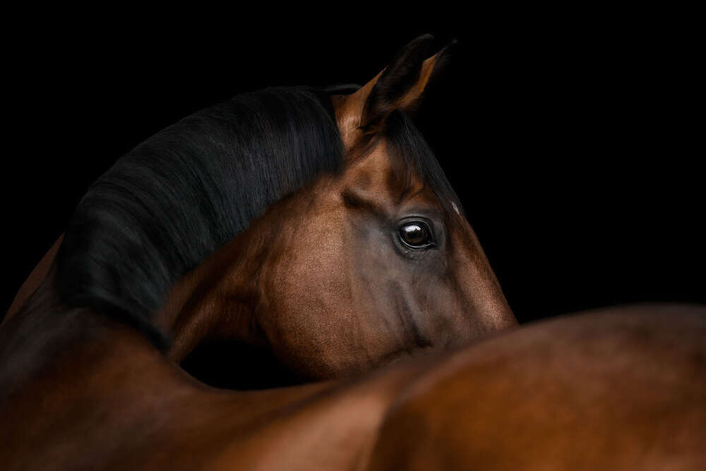 Kerstin Lepschi Photography (Kerstin Lepschi Photography)