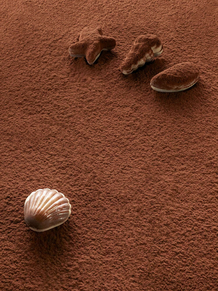 Photo-Herzmann (Photo-Herzmann)