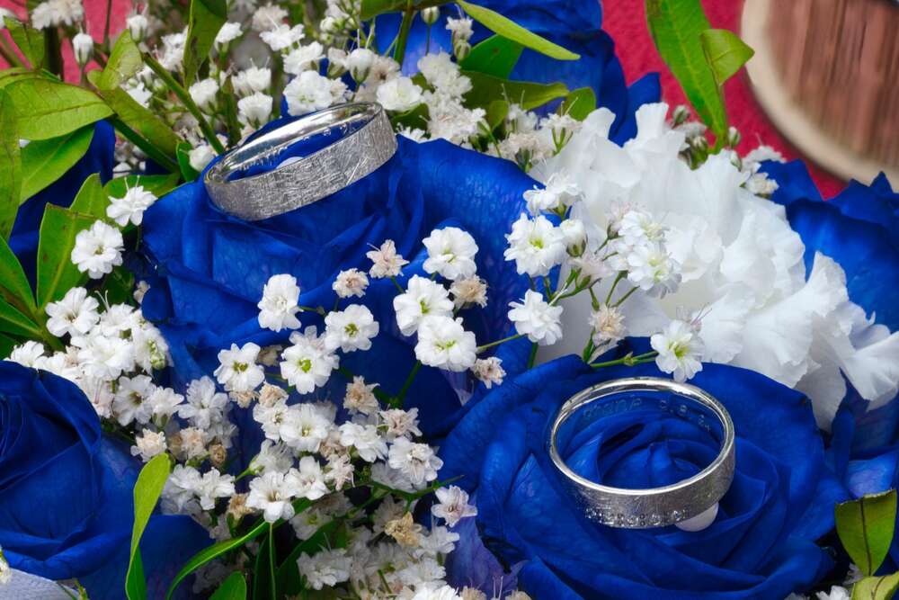 Roman Grzeszkowiak - Aniser Fotografie