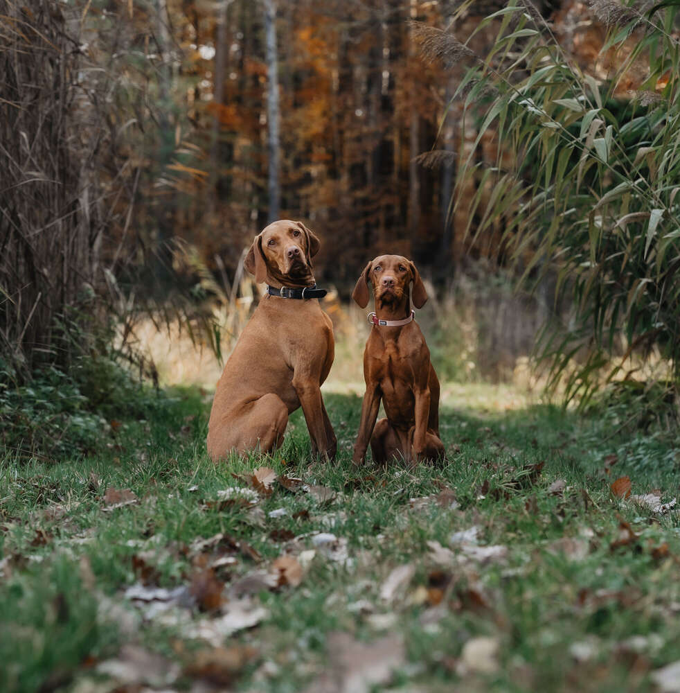 Anika Lowry Photography (Anika Lowry Photography)