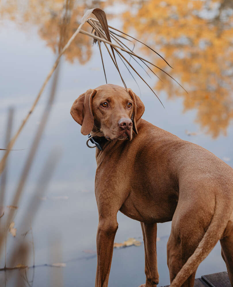 Anika Lowry Photography (Anika Lowry Photography)