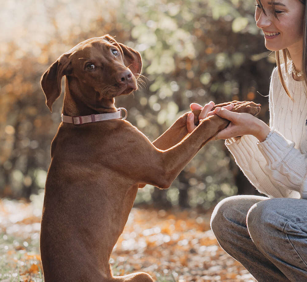 Anika Lowry Photography (Anika Lowry Photography)