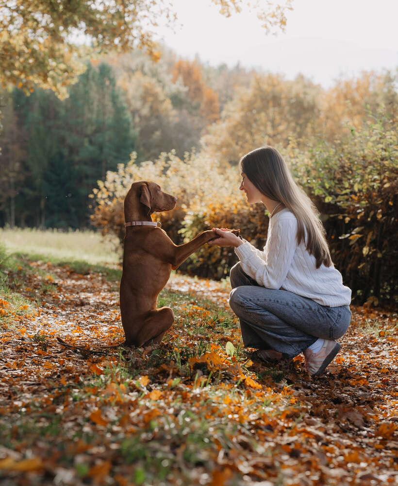 Anika Lowry Photography (Anika Lowry Photography)