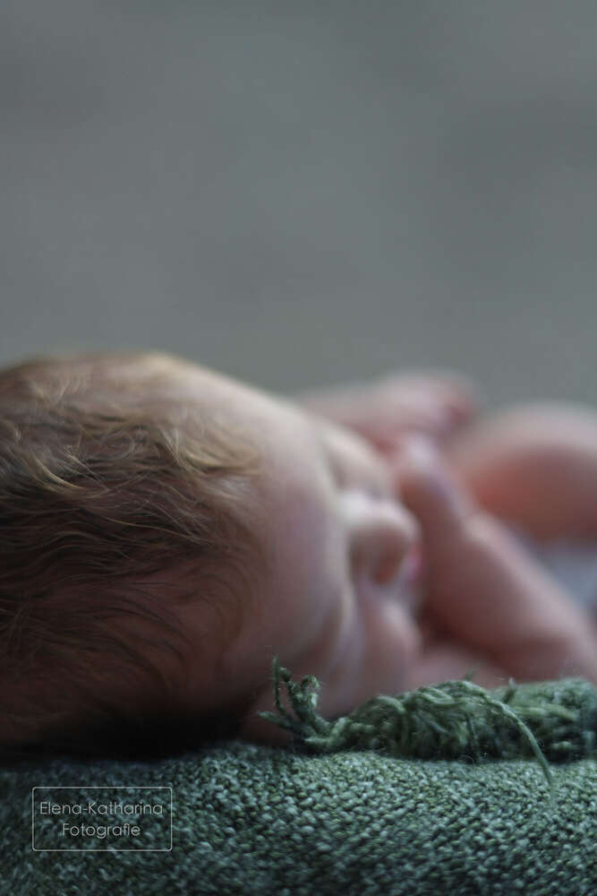 Elena-Katharina Fotografie (Elena-Katharina Fotografie)